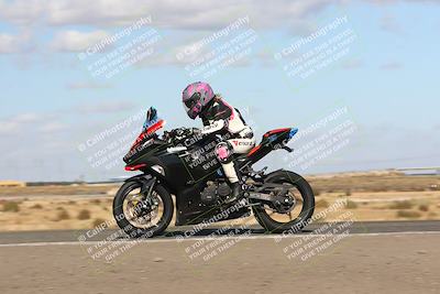 media/Nov-03-2024-TrackDaz (Sun) [[44580f4982]]/B Group/1220pm (Wheelie Bump)/